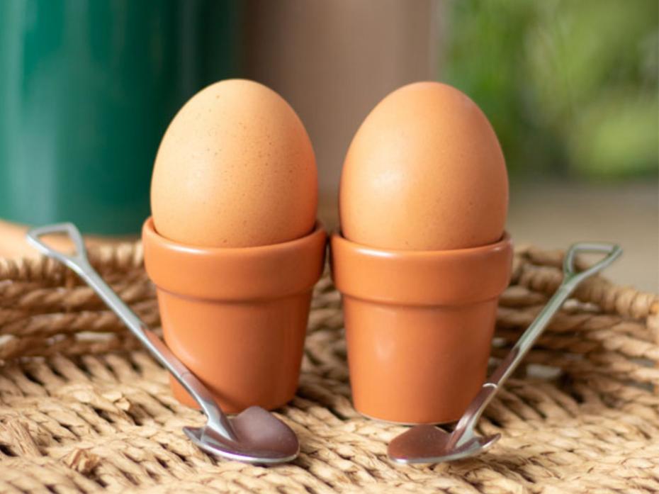 Plant Pot Egg Cups With Shovel Spoons